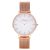 Montre femme Como Milano Trendsetters CM013.304.1RG
